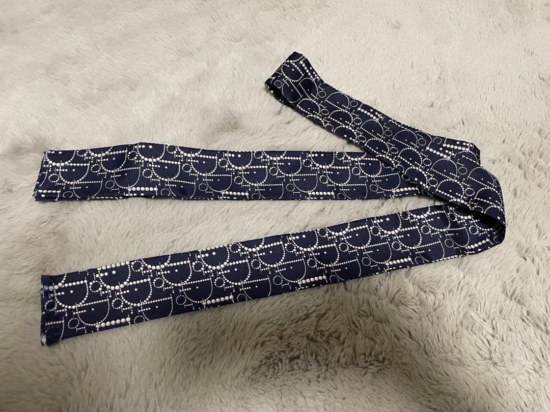 DIOR 20aw JUDY BLAME ストール