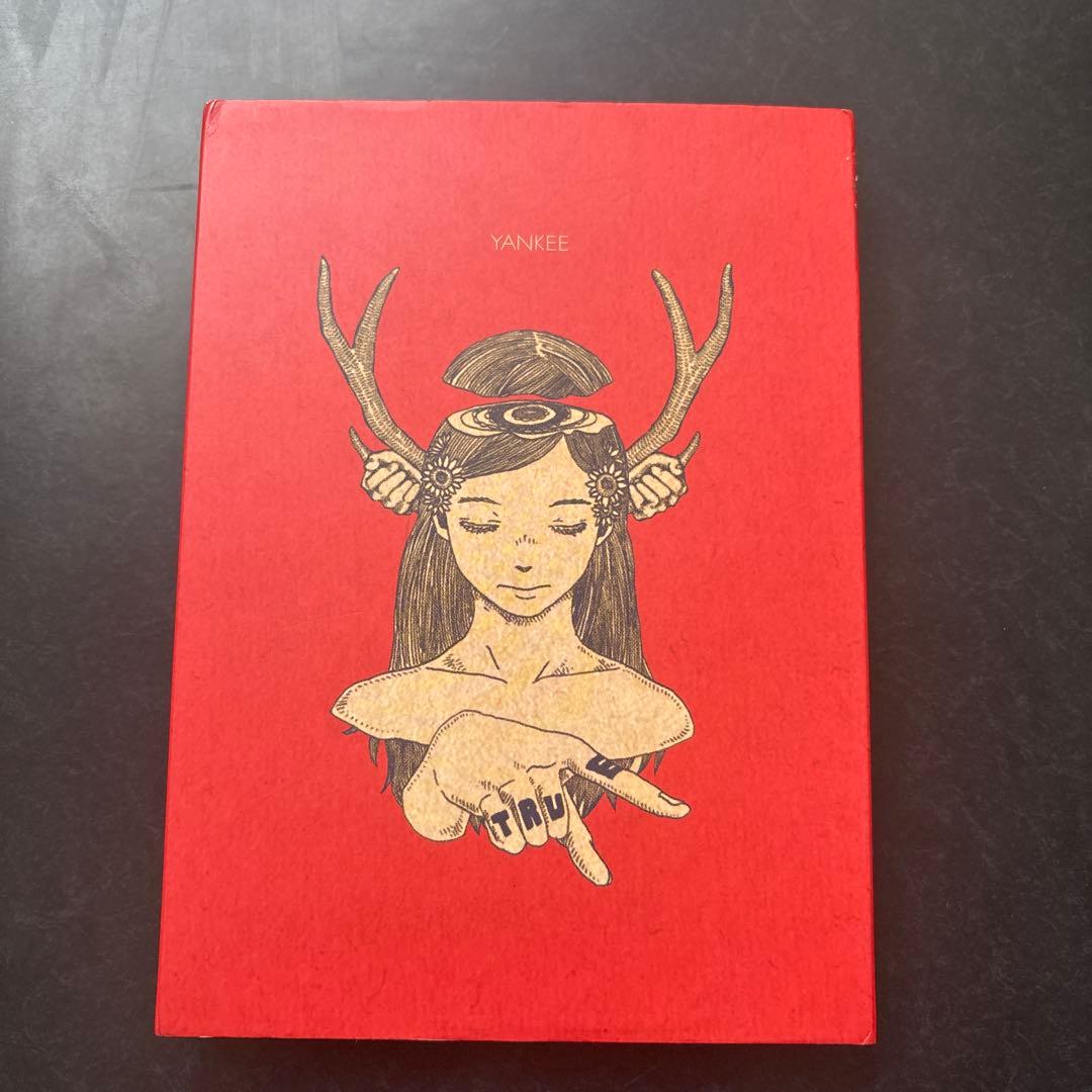 米津玄師 YANKEE 初回限定 画集版