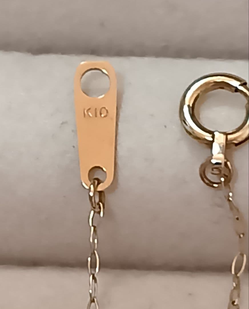 BLOOM　K10ネックレス K10恐竜ネックレス レア廃盤商品　ステゴサウルス