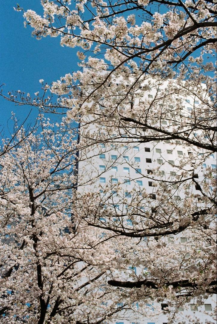 OLYMPUS OM-1+35mm-70mm +バッグ(試し撮りサンプルあり)