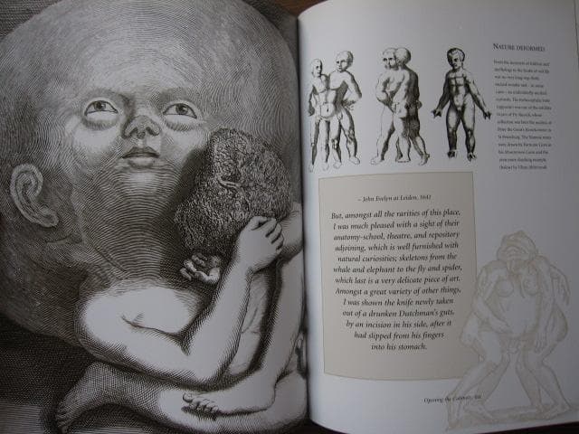 Cabinets of Curiosities　Patrick Mauries