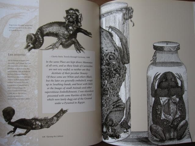 Cabinets of Curiosities　Patrick Mauries