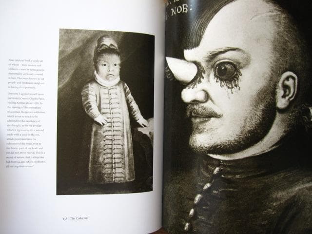 Cabinets of Curiosities　Patrick Mauries