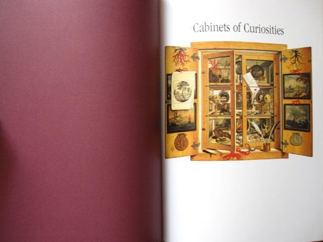 Cabinets of Curiosities　Patrick Mauries