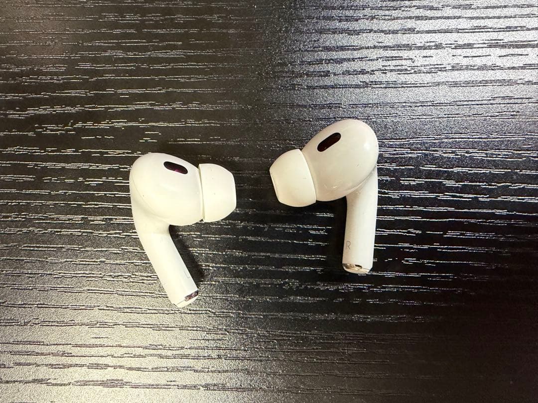 AirPods Pro２ Lightning　Aulumu A19 ケース