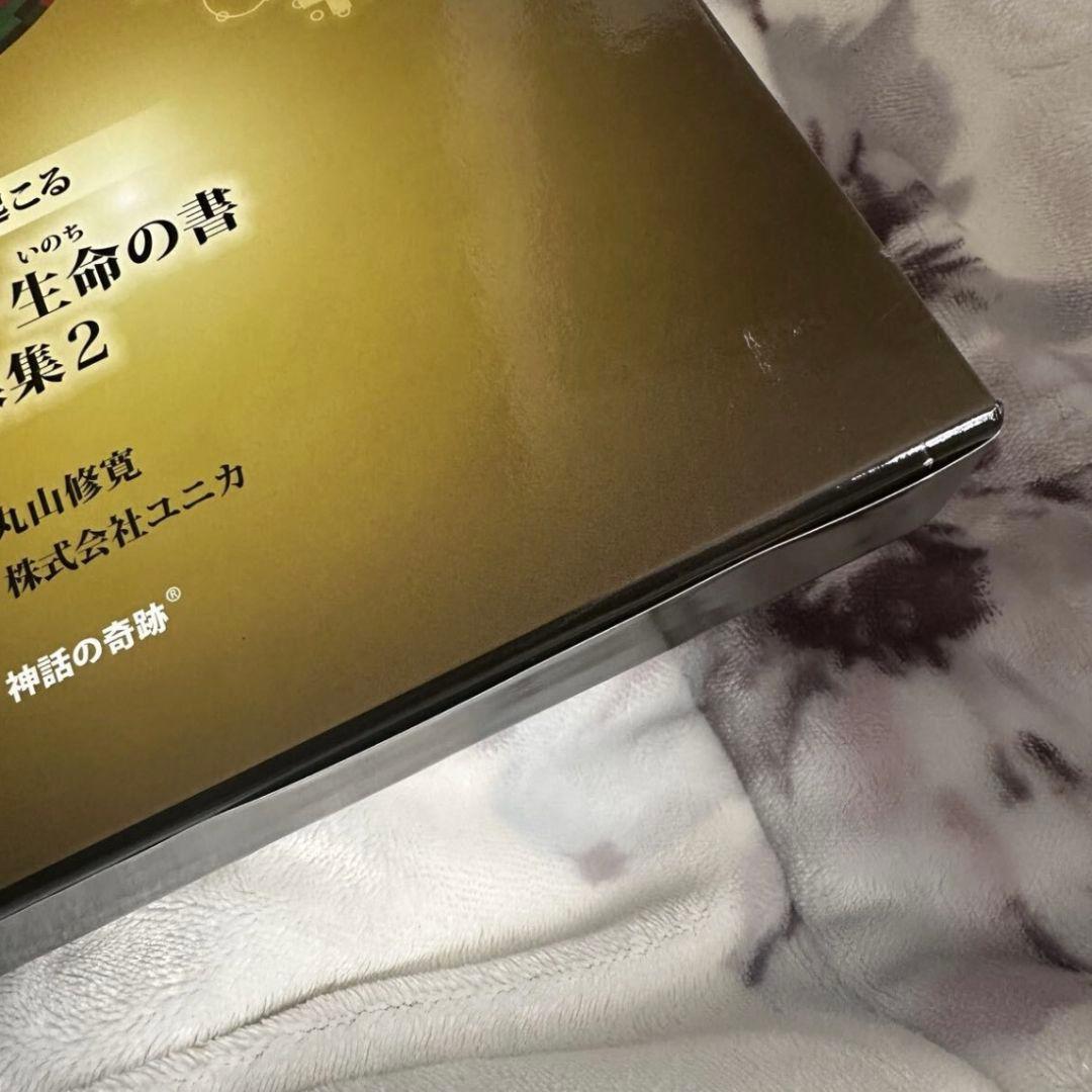 大型本 奇跡が起こる カタカムナ生命の書 図像集2 丸山修寛