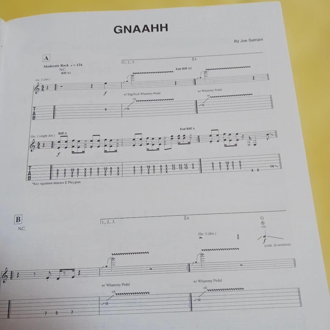 輸入楽譜JOE SATRIANI IS THERE LOVE IN SPACE？