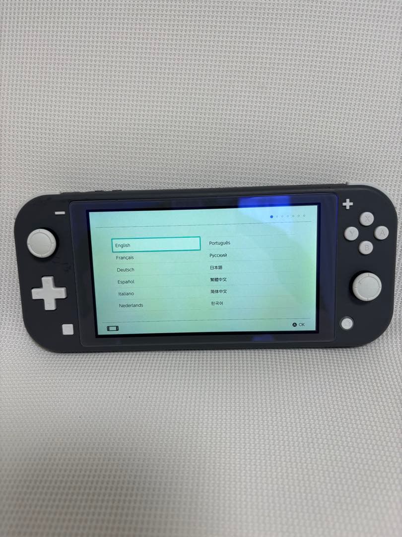 Nintendo Switch lite 本体(SDカード、ケース付き)
