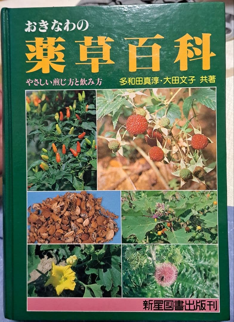 おきなわの薬草百科