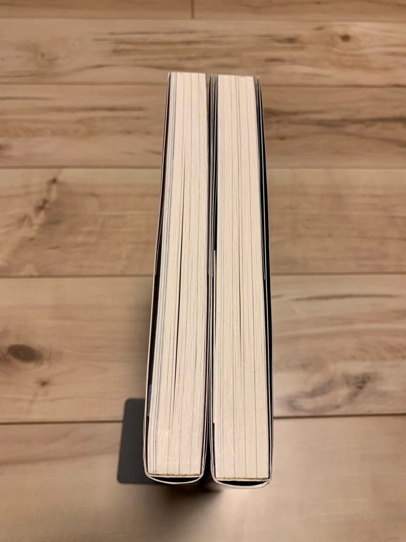 ★極美品初版帯付メタ・バロンの一族上下set アレハンドロ・ホドロフスキー作ファ