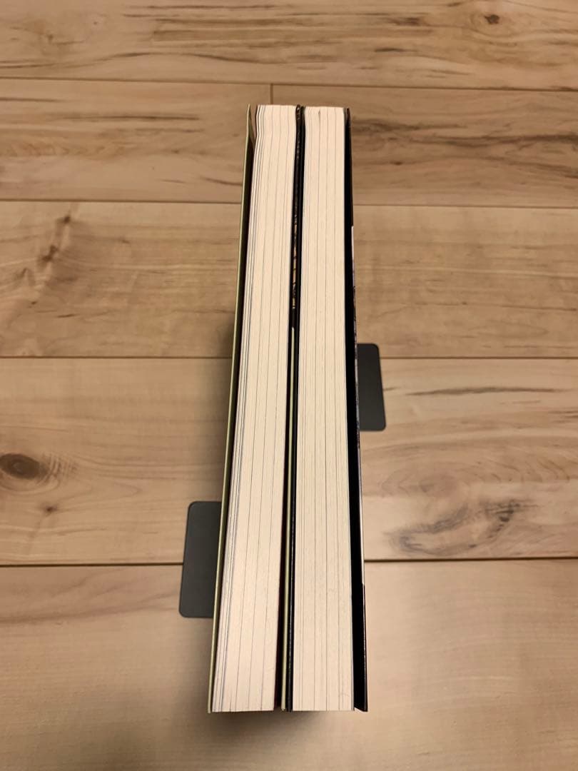 ★極美品初版帯付メタ・バロンの一族上下set アレハンドロ・ホドロフスキー作ファ