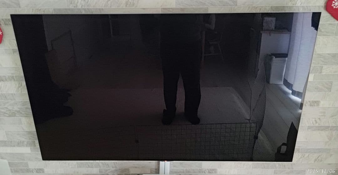 有機EL 55インチ テレビ LG OLED55GXPJA