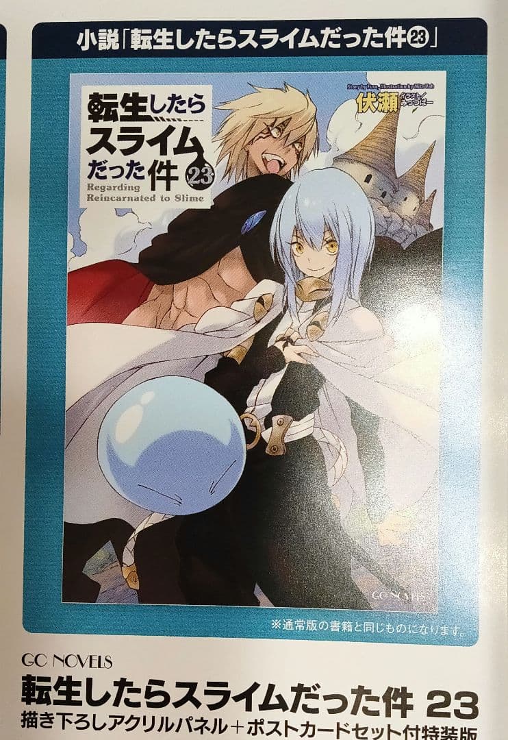 【小説】転生したらスライムだった件(23) 特装版
