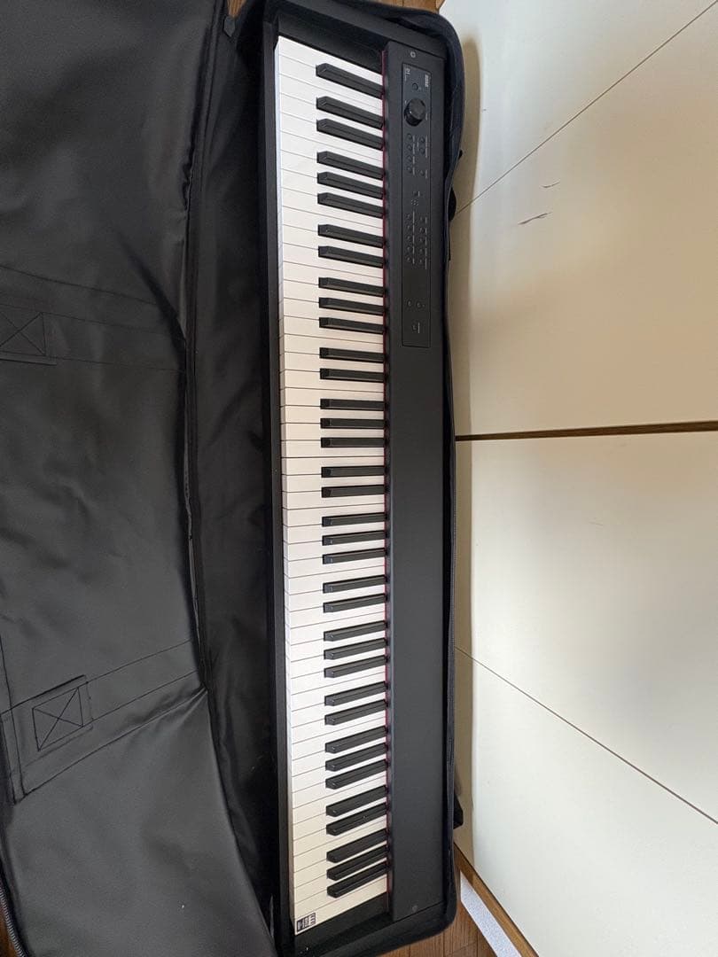 鍵盤楽器 KORG D1