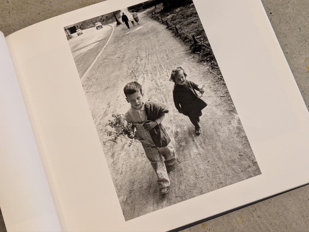 【新品】Family in the Picture / リー・フリードランダー