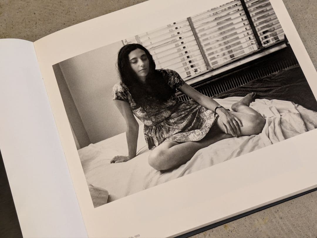 【新品】Family in the Picture / リー・フリードランダー