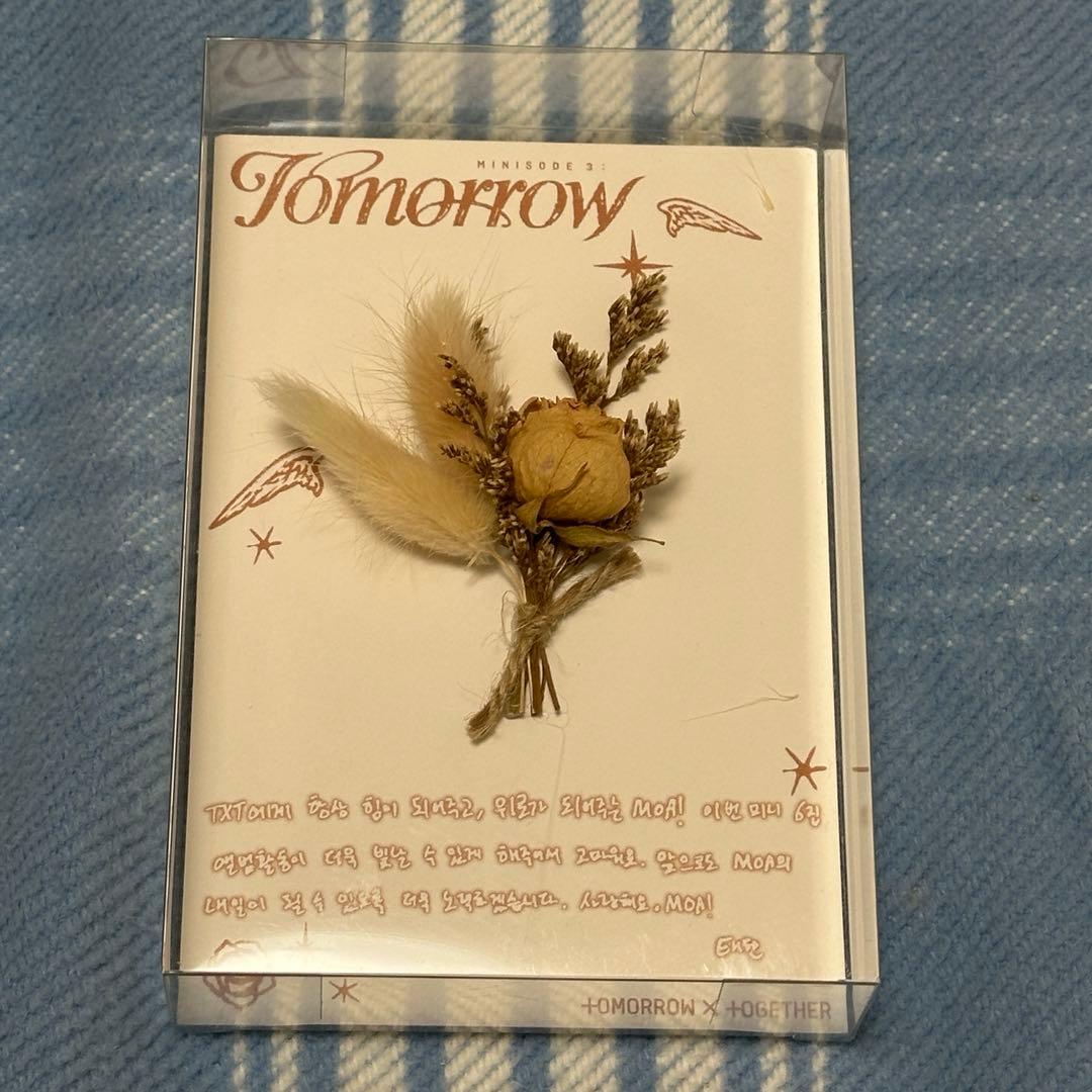 【レア】Tomorrow サノク参加者限定　マッパン　ドライフラワー