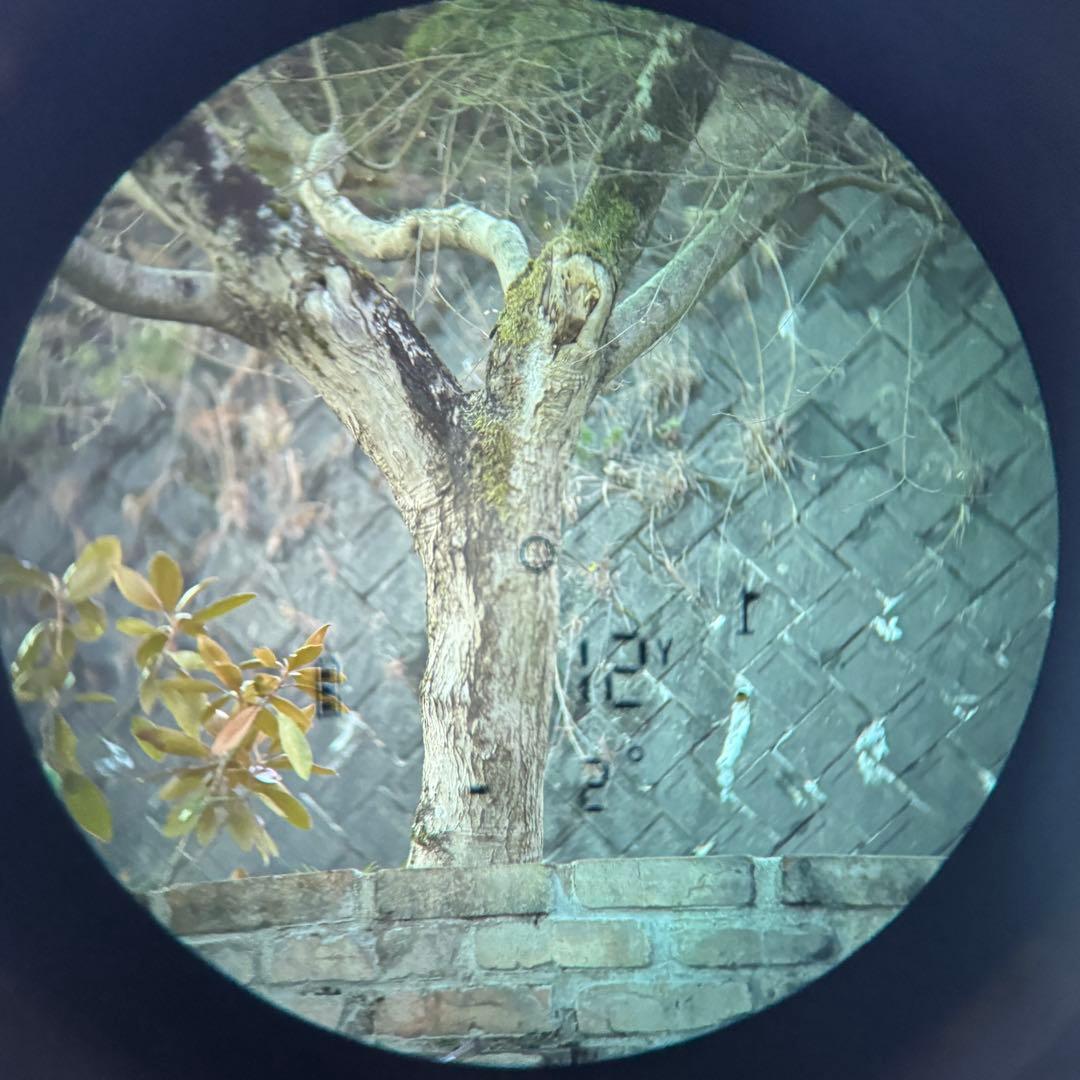 【美品】Bushnell Pro X2 ゴルフ用距離計　専用ケース付属