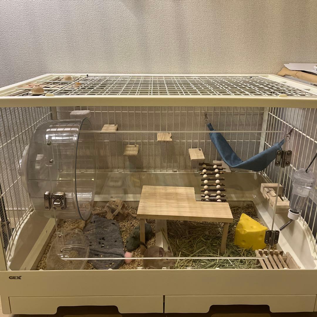 GEX クリアフロント80