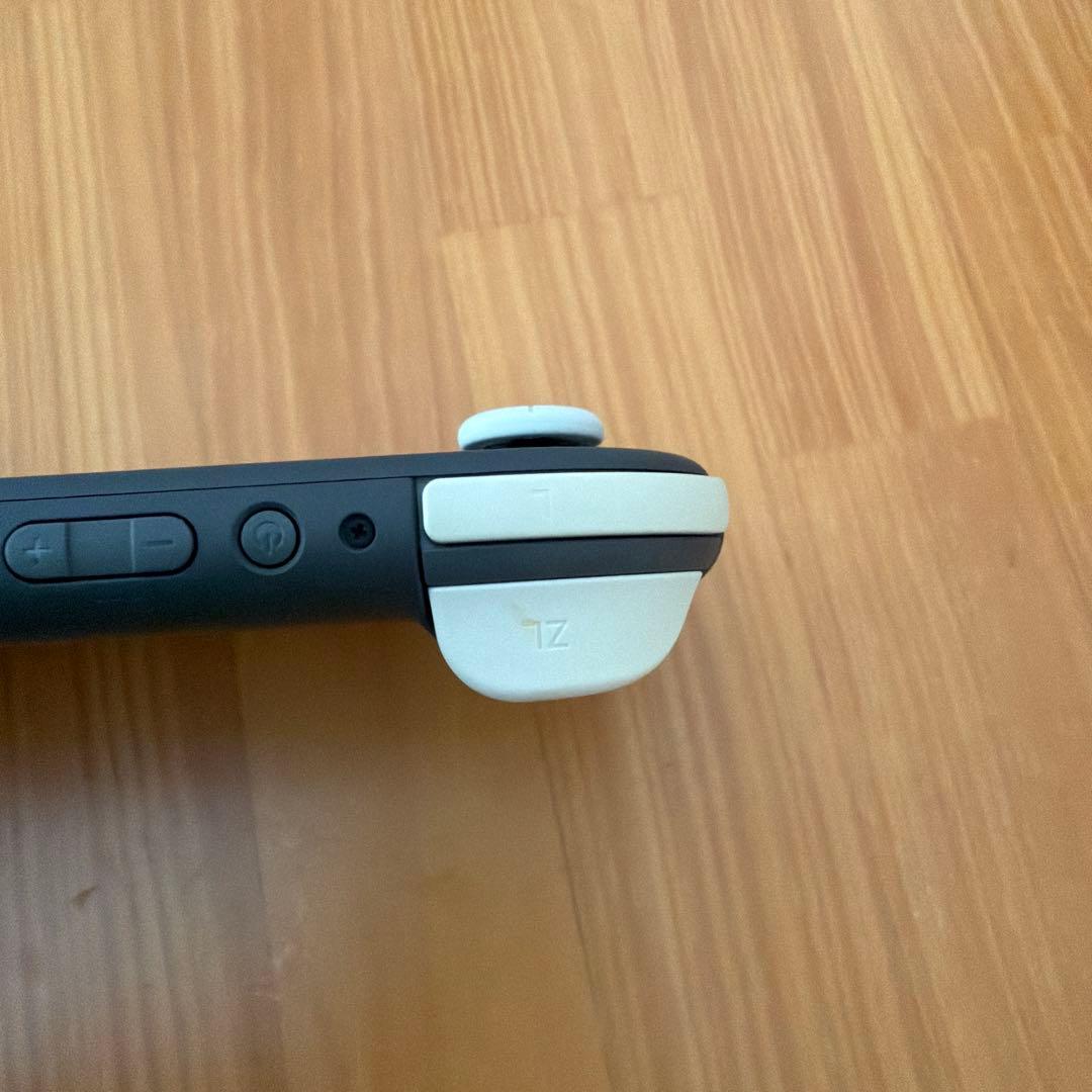 Nintendo switch Lite 本体のみ