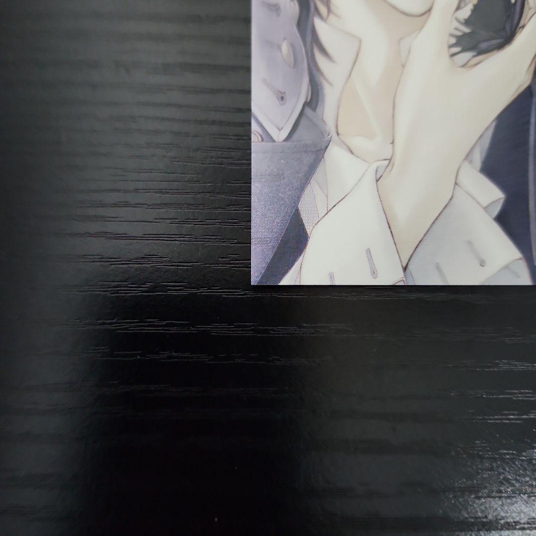 【特典】ヴァンパイア騎士 memories イラストカード3枚