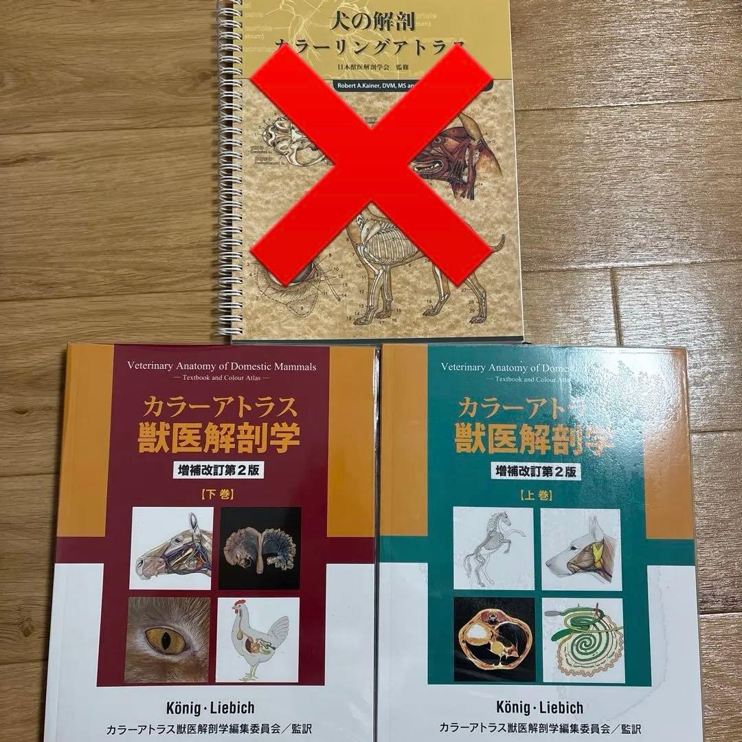 犬の解剖 カラーリングアトラス カラーアトラス 獣医解剖学 上下巻