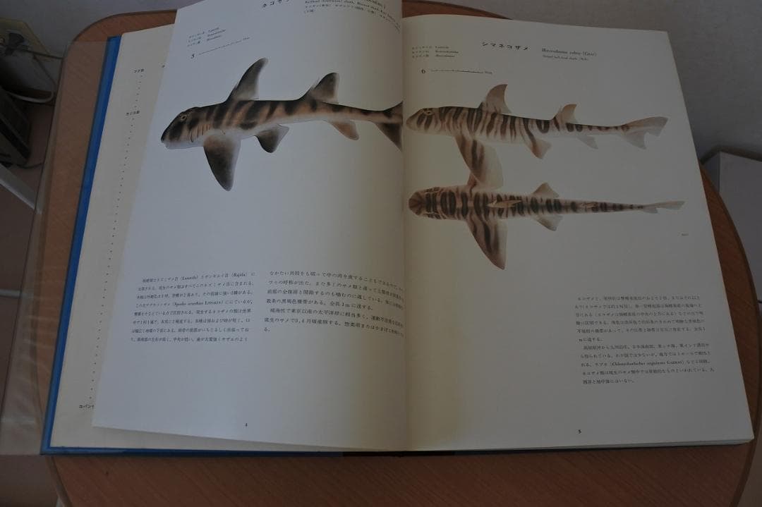 日本産魚類大図鑑　檜山義夫　安田富士郎　著　昭和46年初版
