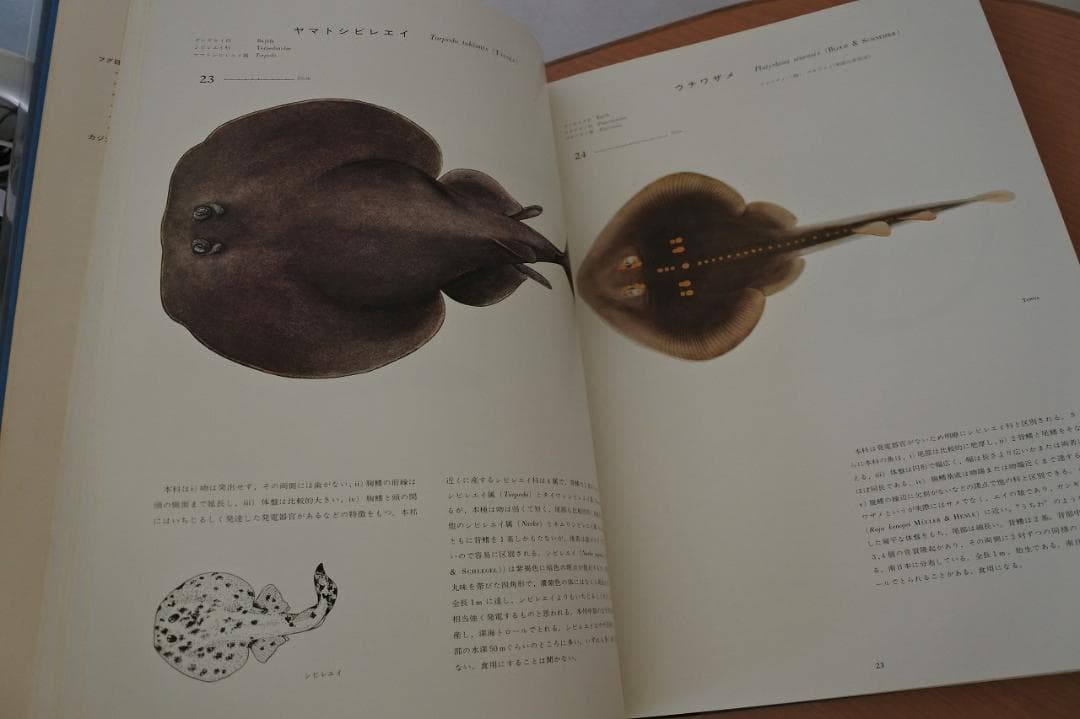 日本産魚類大図鑑　檜山義夫　安田富士郎　著　昭和46年初版