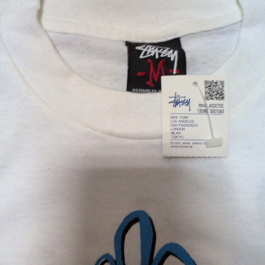 【激レア】STUSSY RMX CLASSIC Tシャツ M