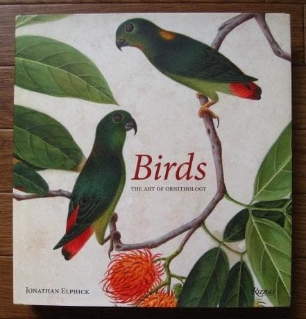 Birds : The Art of Ornithology　絶滅鳥