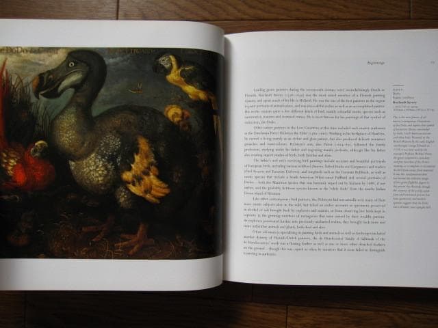 Birds : The Art of Ornithology　絶滅鳥