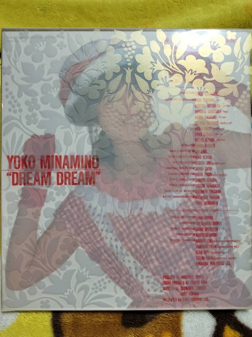 南野陽子DVD ボックス　 完全生産限定盤20周年