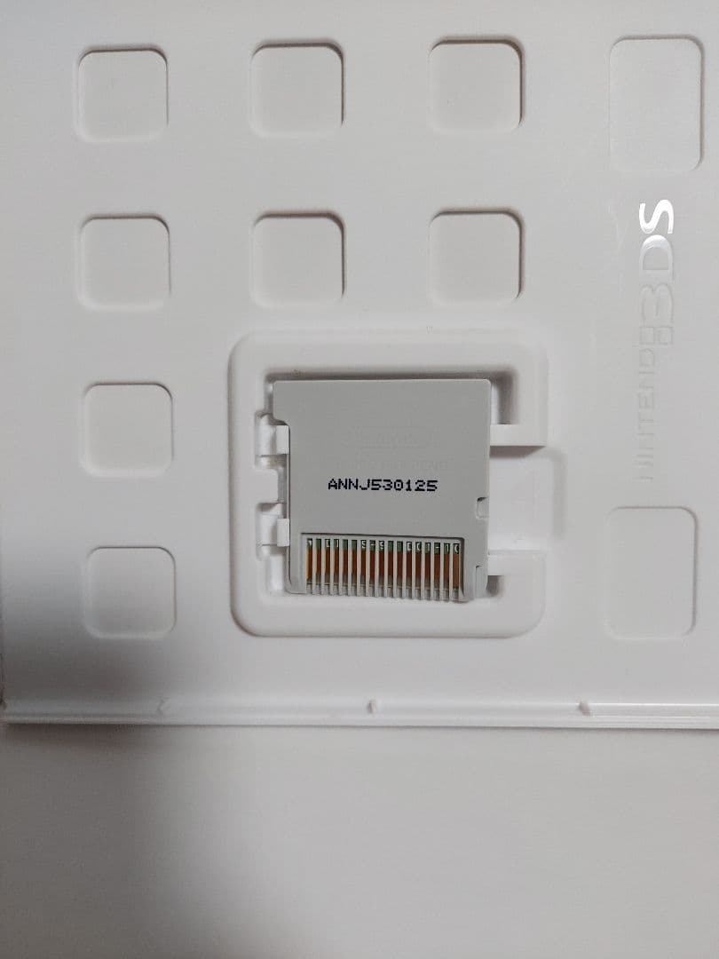 た*し様 3DS 忍者じゃじゃ丸くん さくら姫と火竜のひみつ