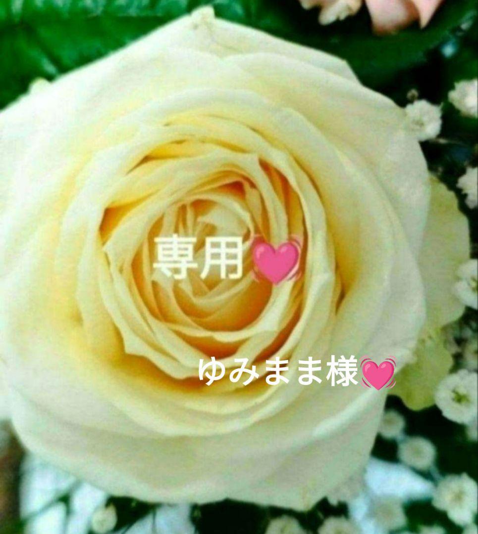 【ゆみまま❤】⭐️ミッション ホワイト 他ミッション おまけ付き❗️⭐️