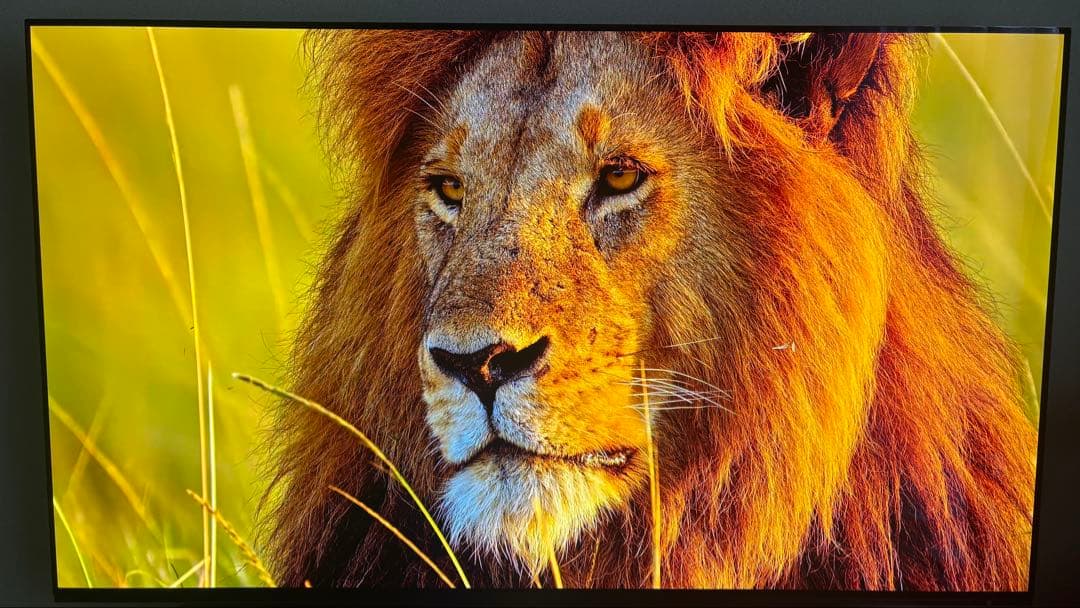 SONY 4K有機ELテレビ XRJ-55A90J 55インチ