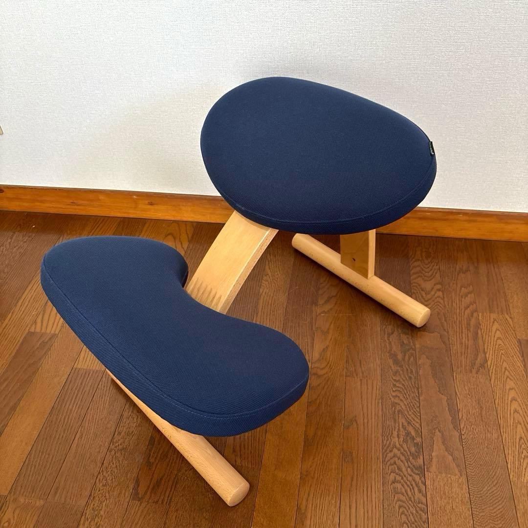 【美品】バランスイージー ネイビー 通常フレーム