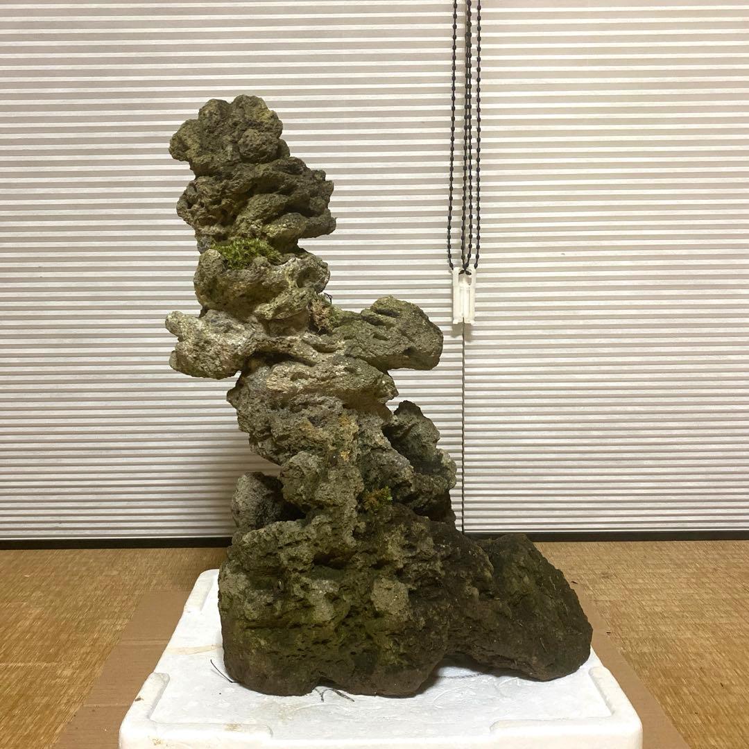 【美形】軽石　岩石　水槽　装飾 アクアリウム　NO3