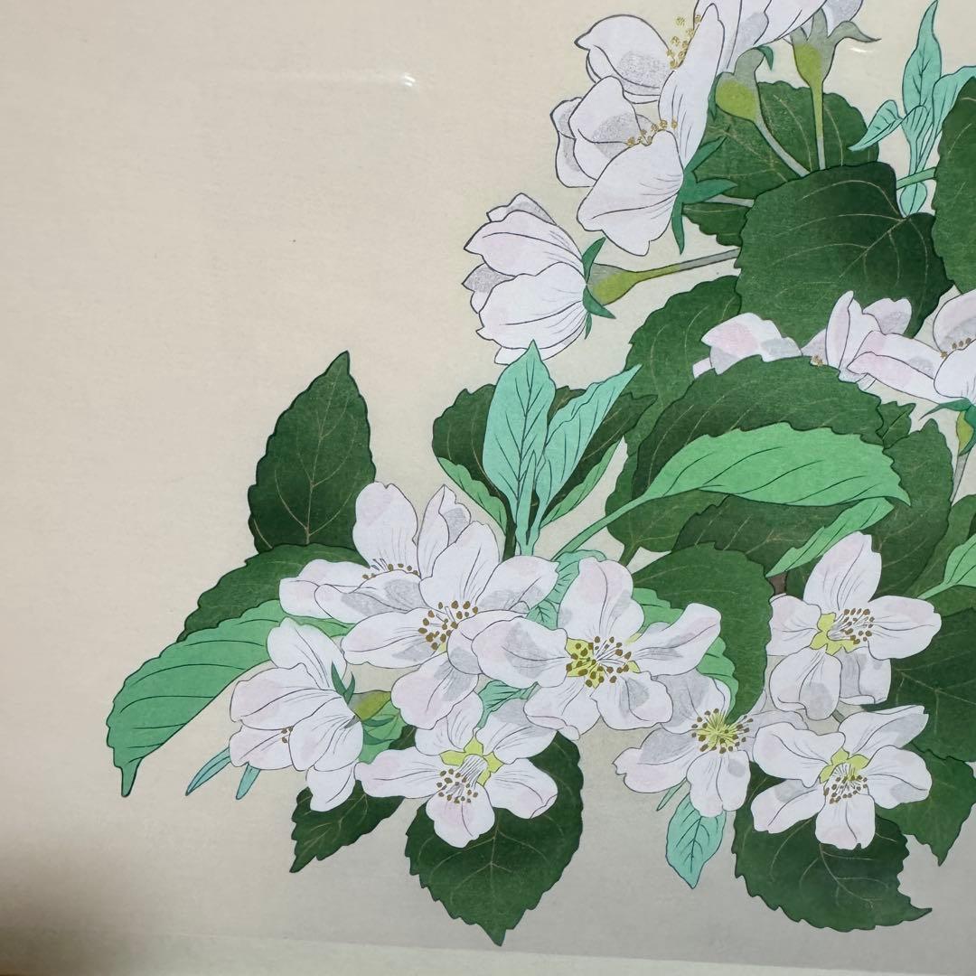 【美品】中島千波 木版画 りんごの春 額装 サイン入り 箱付 限定200部