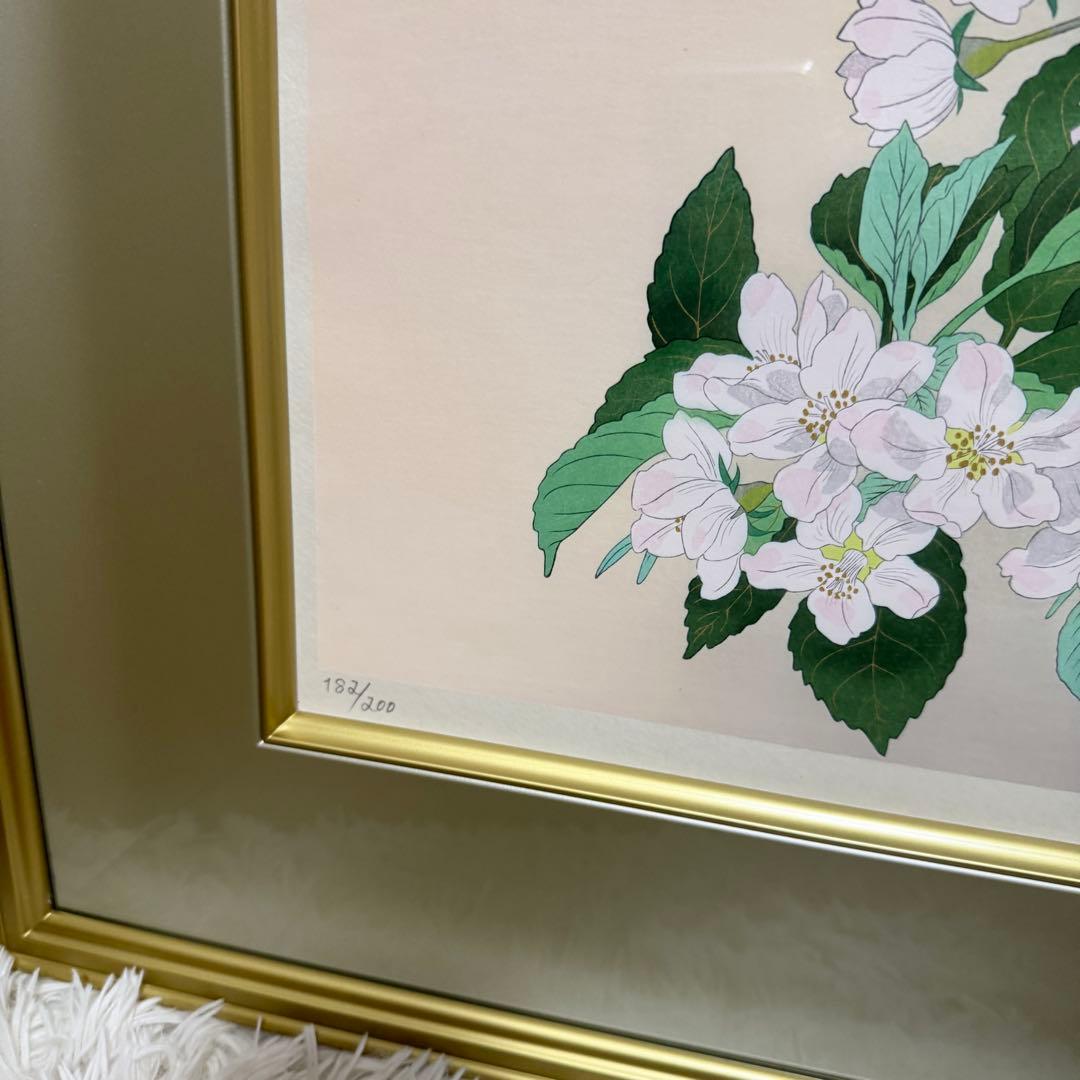 【美品】中島千波 木版画 りんごの春 額装 サイン入り 箱付 限定200部