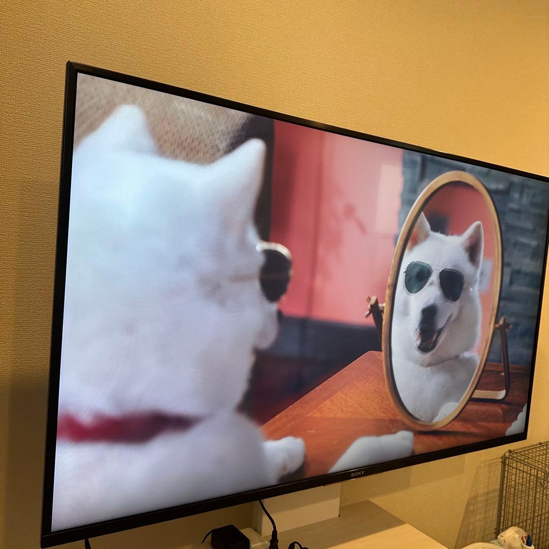 SONY BRAVIA 49型テレビ KJ-49X8500F 2019年製