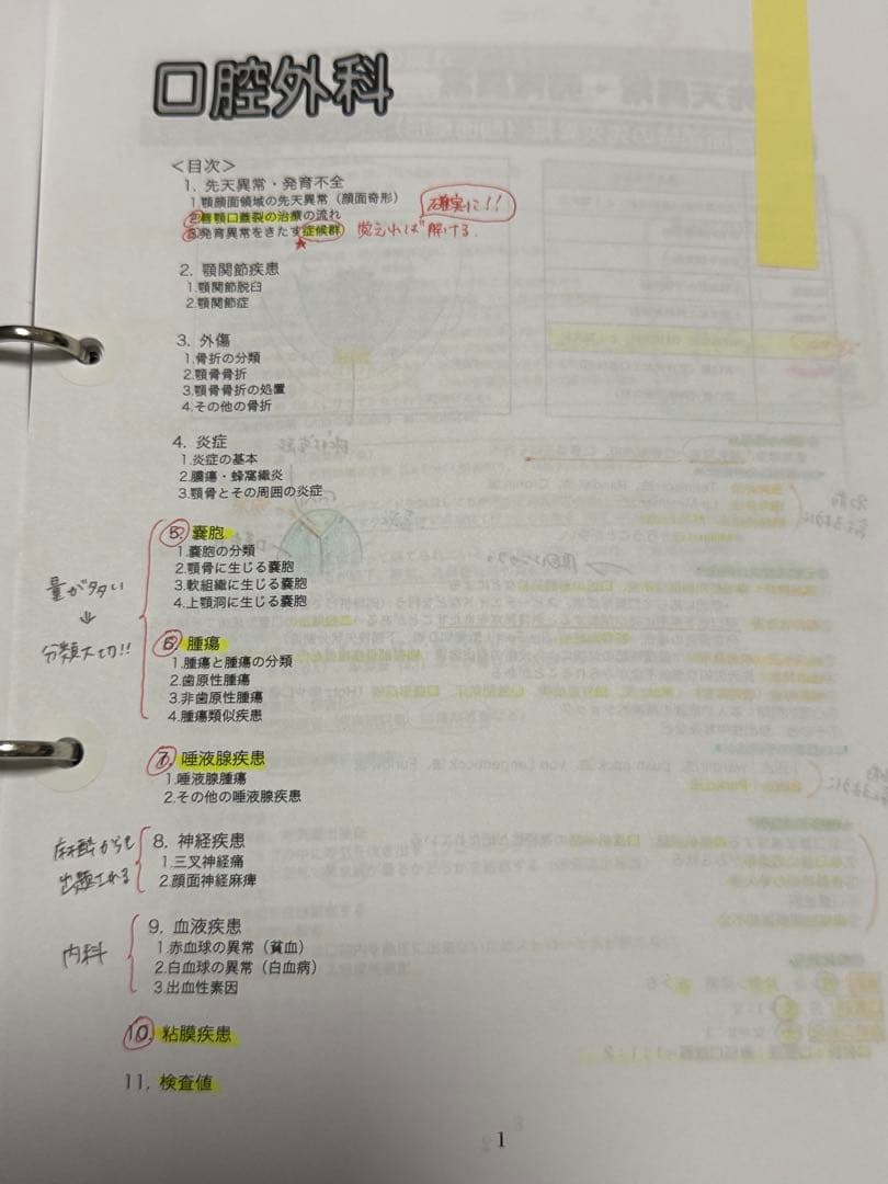 麻布デンタルアカデミー　ベーシック講座　des 実践　第120回歯科医師国家試験