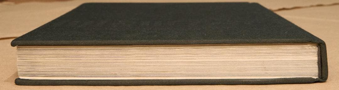 森山大道 : 犬の時間