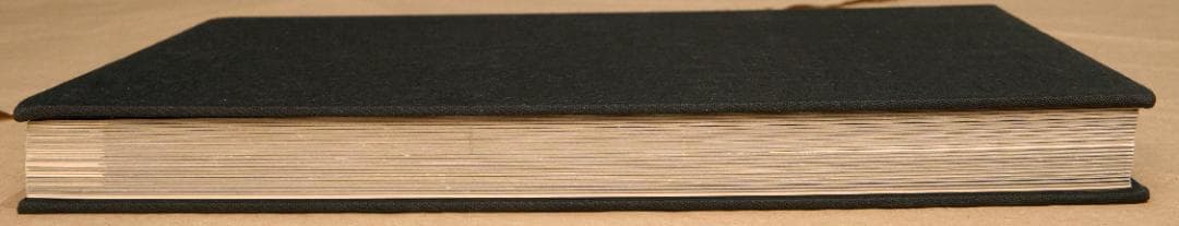 森山大道 : 犬の時間