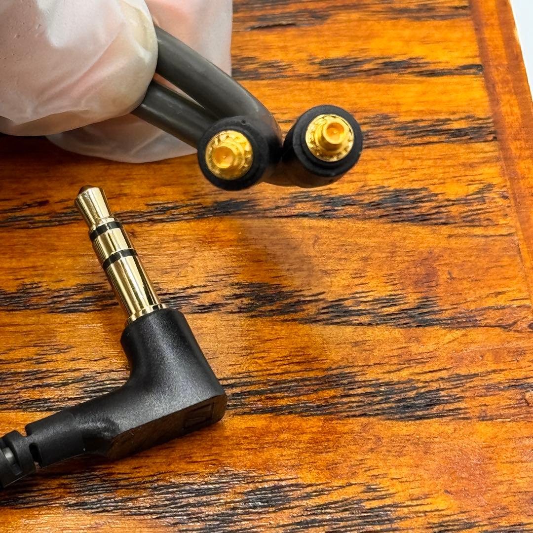 Sennheiser IE600 有線イヤホン 正規品 フルセット 美品