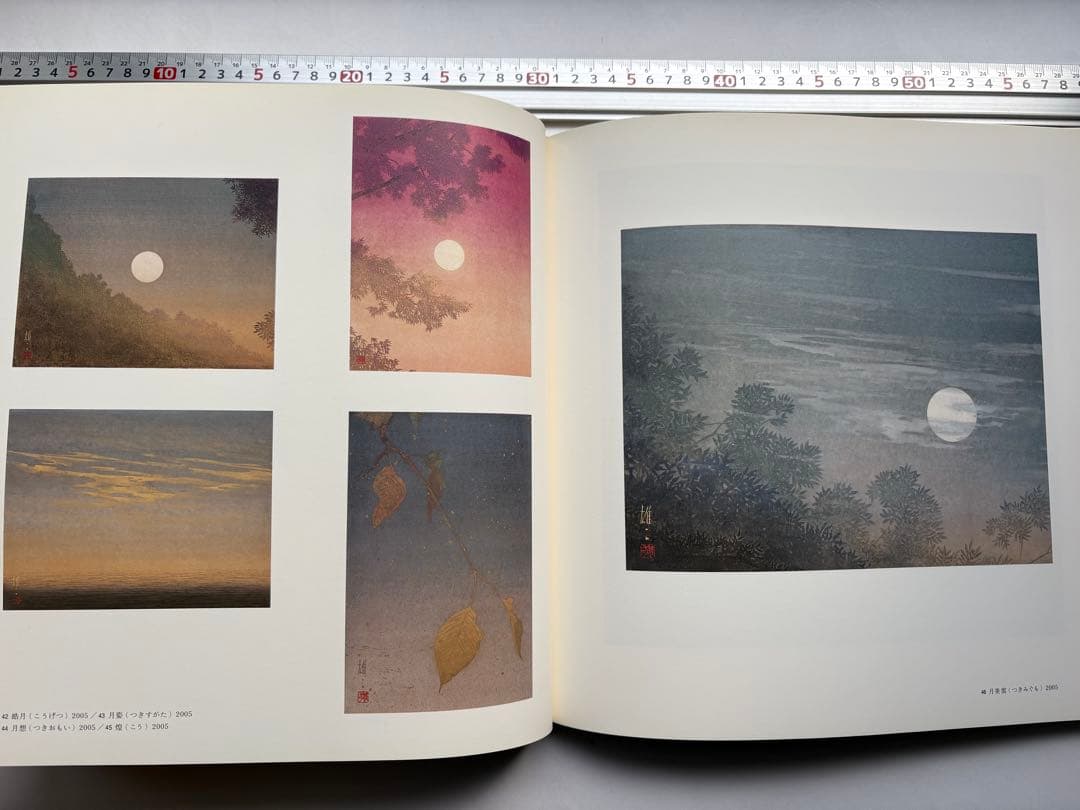 手塚雄二作品集　2冊　図録　大型本画集　日本画　絵画　素描