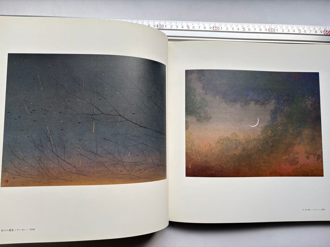 手塚雄二作品集　2冊　図録　大型本画集　日本画　絵画　素描