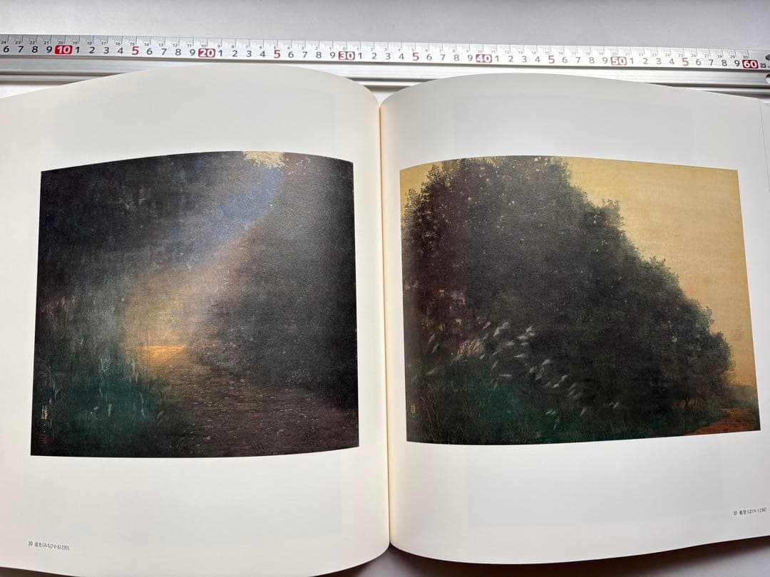 手塚雄二作品集　2冊　図録　大型本画集　日本画　絵画　素描