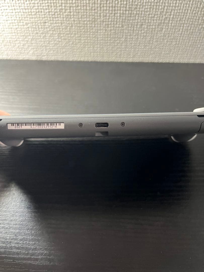 グレーの Nintendo Switch Lite、充電器 付き 大和桜
