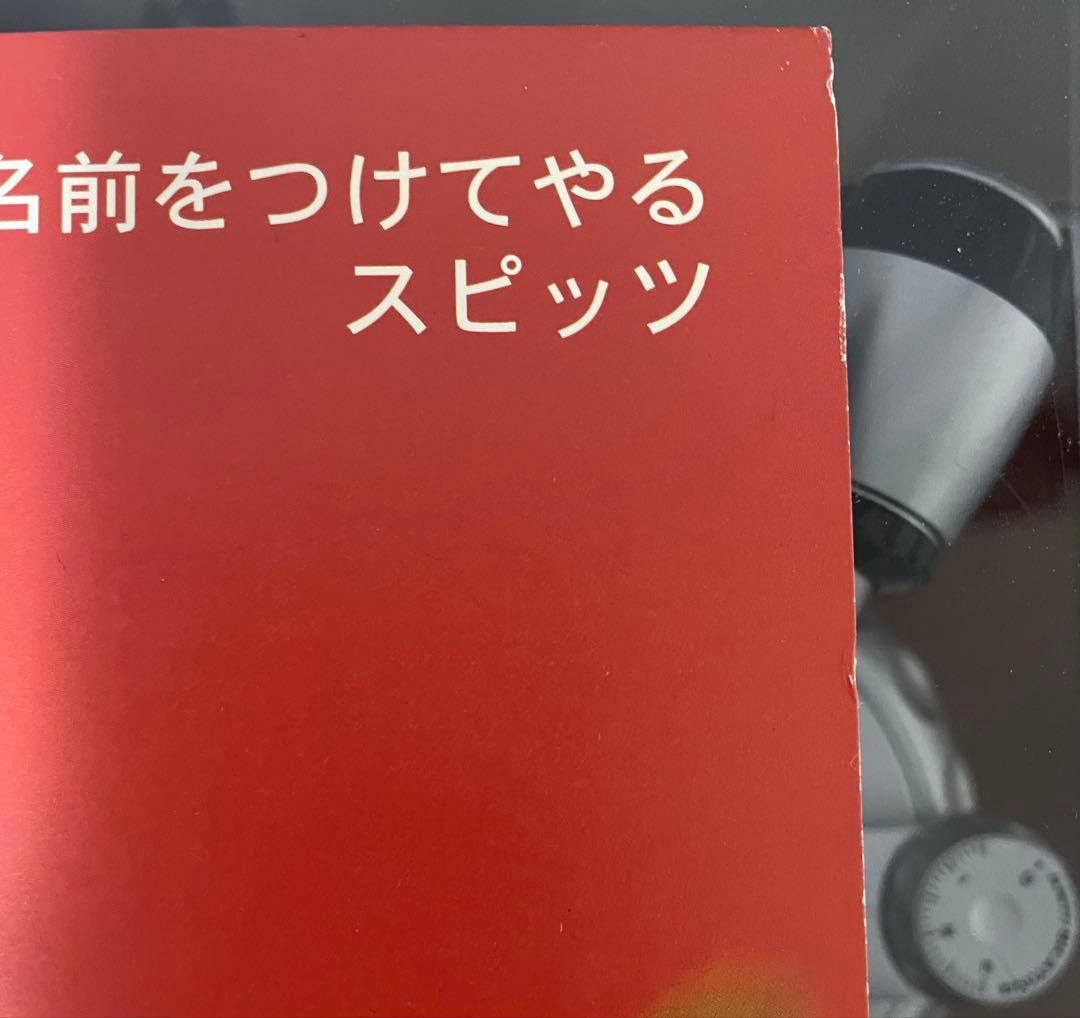 スピッツ　SPITZ 名前をつけてやる　オリジナル盤　レコード