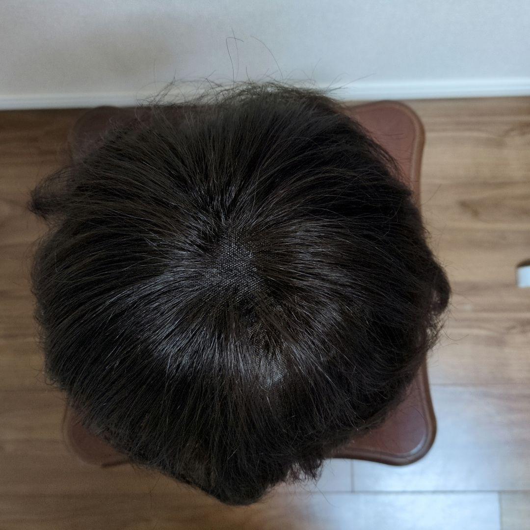 ジュリアオージェ　ダークブラウン ショートウィッグ